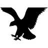 AEO American Eagle Outfitters, Inc. logo