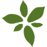 AFCG Advanced Flower Capital Inc. logo