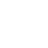 AIG American International Group, Inc. logo
