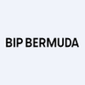 BIPI BIP Bermuda Holdings I Limited logo