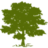 CYH Community Health Systems, Inc. logo