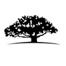 DOO BRP Inc. logo