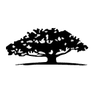 EMCG Embrace Change Acquisition Corp. logo