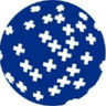FA First Advantage Corporation logo
