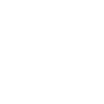 LCID Lucid Group, Inc. logo