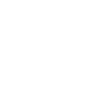 LI Li Auto Inc. logo