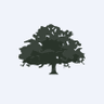 LOKV Live Oak Acquisition Corp. V Class A Ordinary Shares logo