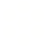MVST Microvast Holdings, Inc. logo