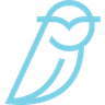 OWL Blue Owl Capital Inc. logo