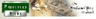 PFBC Preferred Bank logo
