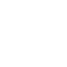 PLTR Palantir Technologies Inc. logo