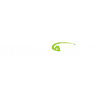 SGLY Singularity Future Technology Ltd. logo