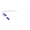 SIDU Sidus Space, Inc. logo