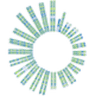 SLNO Soleno Therapeutics, Inc. logo