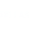 SLS SELLAS Life Sciences Group, Inc. logo