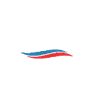 TWLV Twelve Seas Investment Company II logo