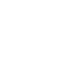 V Visa Inc. logo